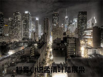 孟清叶陆宸枭 全文免费阅读无弹窗大结局-孟清叶陆宸枭全文无弹窗免费阅读大结局