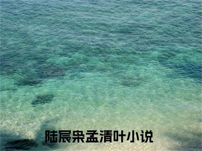 主角叫陆宸枭孟清叶小说战帝神尊全文免费阅读