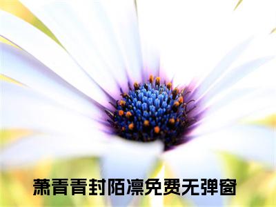 老书虫良心推荐《萧青青封陌凛》萧青青封陌凛小说精彩免费试读