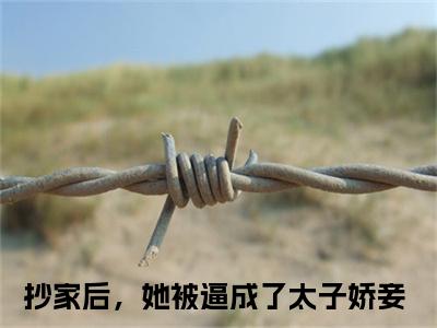 抄家后，她被逼成了太子娇妾（云楚洛）全文免费阅读无弹窗大结局_抄家后，她被逼成了太子娇妾全文免费阅读（云楚洛）最新章节列表_笔趣阁（抄家后，她被逼成了太子娇妾）