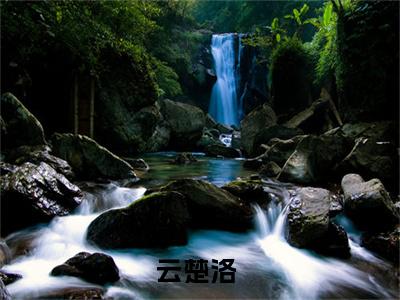 （抄家后，她被逼成了太子娇妾）最新免费小说大结局-小说抄家后，她被逼成了太子娇妾云楚洛全文免费在线阅读