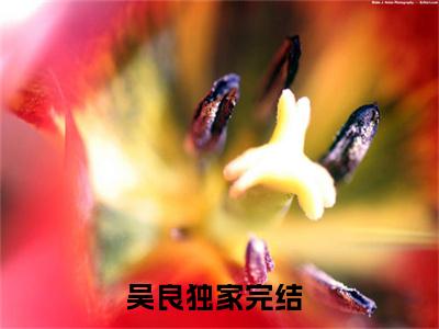 末世：我能催眠女丧尸（吴良小说）全文免费阅读无弹窗大结局_末世：我能催眠女丧尸最新章节列表_笔趣阁（吴良小说）