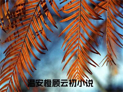温安橙顾云初小说无广告免费阅读无删减