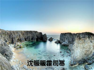 沈暖暖霍司寒小说(沈暖暖霍司寒)全文免费阅读无弹窗大结局_沈暖暖霍司寒小说免费阅读无弹窗最新章节列表_笔趣阁