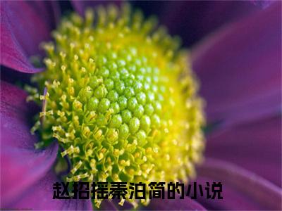 赵招摇秦泊简小说免费(赵招摇秦泊简)全文免费阅读无弹窗-赵招摇秦泊简最新章节列表_笔趣阁