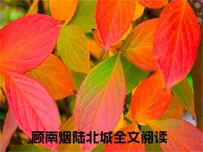 顾南烟陆北城（顾南烟陆北城）全文免费阅读（顾南烟陆北城）小说无弹窗阅读