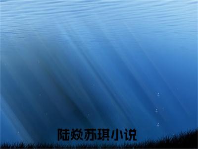 陆焱苏琪小说 陆焱苏琪免费章节阅读