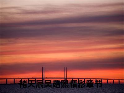 褚天辰吴菇熙在线阅读（褚天辰吴菇熙）全文免费阅读无弹窗大结局_褚天辰吴菇熙免费最新章节列表_笔趣阁