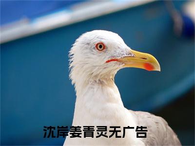 沈岸姜青灵精选小说-沈岸姜青灵全章节(沈岸姜青灵)完整小说