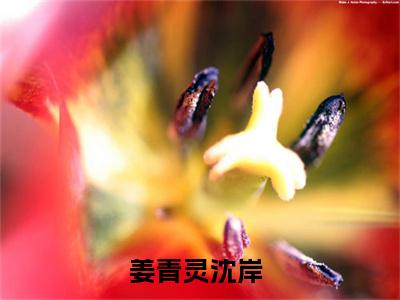 姜青灵沈岸全文(姜青灵沈岸)全文免费阅读无弹窗大结局_ 姜青灵沈岸全文免费阅读最新章节列表_