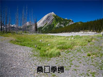 桑忨季缚全集小说（桑忨季缚）全文免费阅读无弹窗大结局_桑忨季缚最新章节列表_笔趣阁（桑忨季缚）