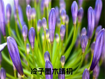 冷子墨木靖初小说（冷子墨木靖初）免费阅读全文无弹窗大结局_冷子墨木靖初免费阅读无弹窗小说_小说笔趣阁