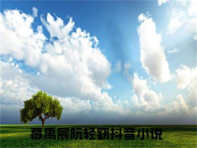 慕禹宸阮轻窈的书名大结局免费阅读 慕禹宸阮轻窈全文小说