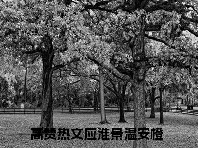 应淮景温安橙（应淮景温安橙）全文阅读-（应淮景温安橙）小说免费阅读最新章节