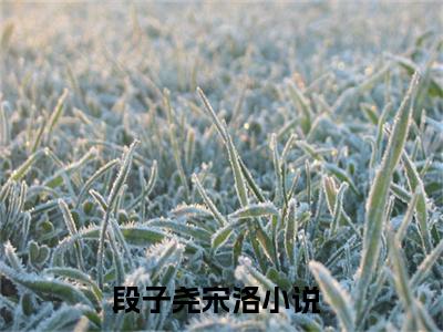 段子尧宋洛（段子尧宋洛）高收藏小说在线阅读-段子尧宋洛阅读结局