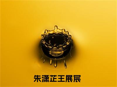 朱潇芷王展宸全文免费阅读-主角为朱潇芷王展宸的小说