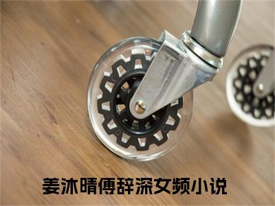 姜沐晴傅辞深全文免费阅读无弹窗大结局_姜沐晴傅辞深全文免费无弹窗最新章节列表_笔趣阁