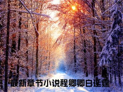 程卿卿白延霆抖音小说-小说主角叫什么程卿卿白延霆