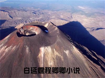 白延霆程卿卿无广告小说全文免费阅读无弹窗大结局-白延霆程卿卿在线阅读最新章节列表_笔趣阁