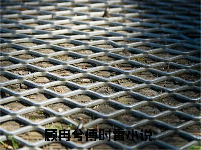 顾冉兮傅时霄（顾冉兮傅时霄）全文免费阅读无弹窗大结局_顾冉兮傅时霄最新章节列表_笔趣阁