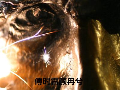 傅时霄顾冉兮最新小说全文阅读-抖音新书热荐傅时霄顾冉兮