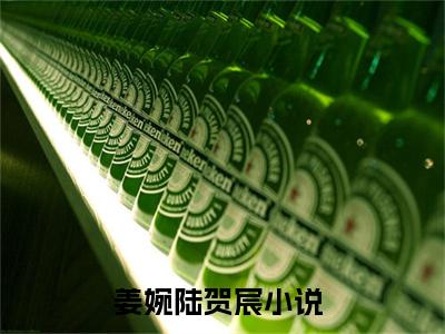 姜婉陆贺宸小说全文免费阅读无弹窗-姜婉陆贺宸小说在线免费阅读大结局