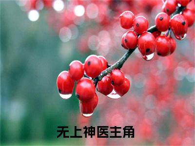陈洋洋林飞全文免费阅读无弹窗大结局-无上神医最新章节列表_笔趣阁（陈洋洋林飞）