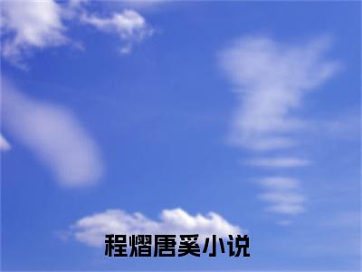 程熠唐奚最新完结小说阅读-程熠唐奚小说收藏阅读