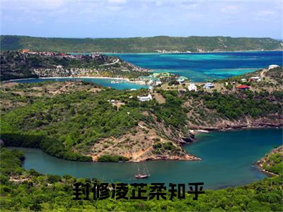 封修凌芷柔高赞小说（离婚后，我转身嫁给渣总死对头）完结阅读_封修凌芷柔全文完整版免费阅读最新章节列表