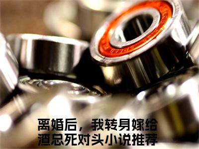 离婚后，我转身嫁给渣总死对头（封修凌芷柔）全文免费阅读无弹窗_离婚后，我转身嫁给渣总死对头（封修凌芷柔小说完整版）最新章节列表