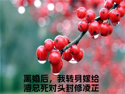 离婚后，我转身嫁给渣总死对头（封修凌芷柔）全文免费阅读无弹窗大结局_封修凌芷柔小说最新章节列表_笔趣阁（离婚后，我转身嫁给渣总死对头）