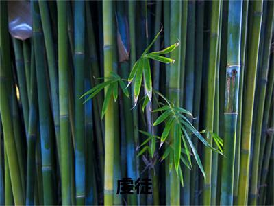 翁颖邵驰（虔徒）完结版小说-翁颖邵驰小说全文免费阅读笔趣阁