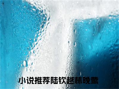 陆钦越林晚莺全文免费阅读无弹窗大结局_（陆钦越林晚莺无弹窗）陆钦越林晚莺全文阅读最新章节列表笔趣阁