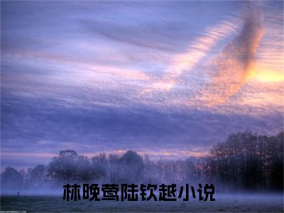 林晚莺陆钦越小说热门榜单免费阅读，林晚莺陆钦越抖音新上热文分享_笔趣阁