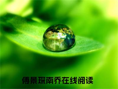 傅景琛南乔小说免费阅读 傅景琛南乔免费阅读无弹窗小说