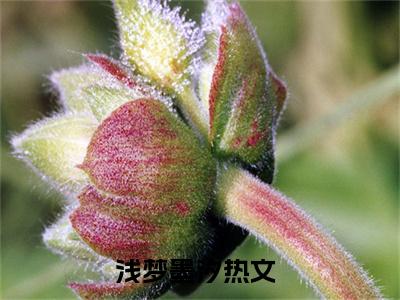 浅梦墨汐全文免费阅读无弹窗大结局_（浅梦墨汐在线阅读）浅梦墨汐最新章节完整版阅读