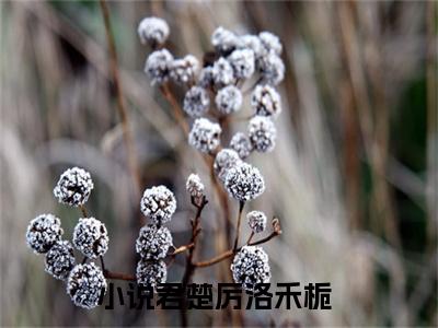 君楚厉洛禾栀免费（君楚厉洛禾栀）全文免费阅读无弹窗大结局_君楚厉洛禾栀免费最新章节列表_笔趣阁
