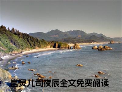 言灵儿司夜辰小说（言灵儿司夜辰）全文免费阅读_（言灵儿司夜辰）小说最新章节列表_笔趣阁（言灵儿司夜辰）