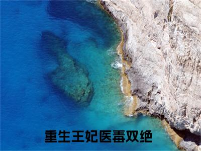 重生王妃医毒双绝小说（陆夭宁王）全文免费阅读_陆夭宁王最新章节列表笔趣阁（重生王妃医毒双绝）