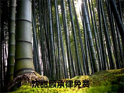 沈甜顾承律小说（沈甜顾承律）全文免费阅读无弹窗大结局_沈甜顾承律小说最新章节列表_笔趣阁（沈甜顾承律）