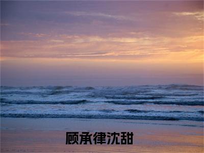 精选好书顾承律沈甜全文免费阅读大结局_顾承律沈甜（顾承律沈甜）完整版在线赏析