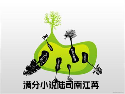 陆司南江苒完整版最新小说大结局 陆司南江苒最新章节