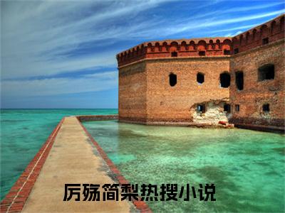 厉殇简梨完整版《厉殇简梨》全文阅读