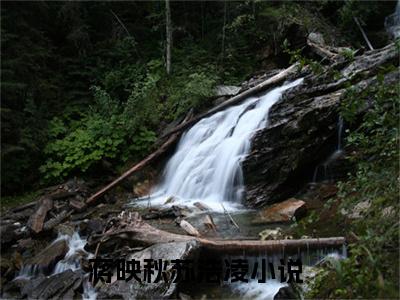 蒋映秋苏浩凌（蒋映秋苏浩凌)小说免费阅读在线阅读_蒋映秋苏浩凌全文免费阅读_笔趣阁