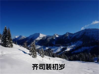 齐司裴初岁(齐司裴初岁)小说全文免费阅读无弹窗大结局_（齐司裴初岁全文免费阅读）齐司裴初岁最新章节列表笔趣阁（齐司裴初岁）