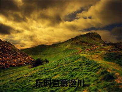 《阮时宜慕逸川》全文免费阅读无弹窗大结局-阮时宜慕逸川 全文全章节免费阅读