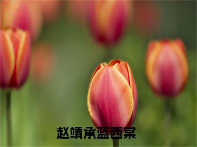 赵靖承蓝西棠小说（赵靖承蓝西棠）全文免费阅读无弹窗大结局_(赵靖承蓝西棠小说)赵靖承蓝西棠小说免费阅读无弹窗最新章节列表_笔趣阁（赵靖承蓝西棠）