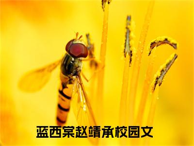 热文（蓝西棠赵靖承）美文阅读_热门小说主人公是（蓝西棠赵靖承）最新章节限时观看_笔趣阁