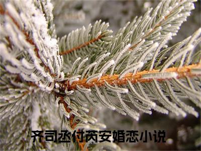 小说(齐司丞付芮安)免费阅读-齐司丞付芮安小说全文在线赏析