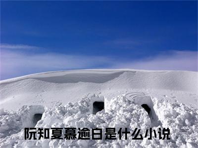 阮知夏慕逾白热门小说在哪免费看-小说（阮知夏慕逾白）完整版全文在线赏析